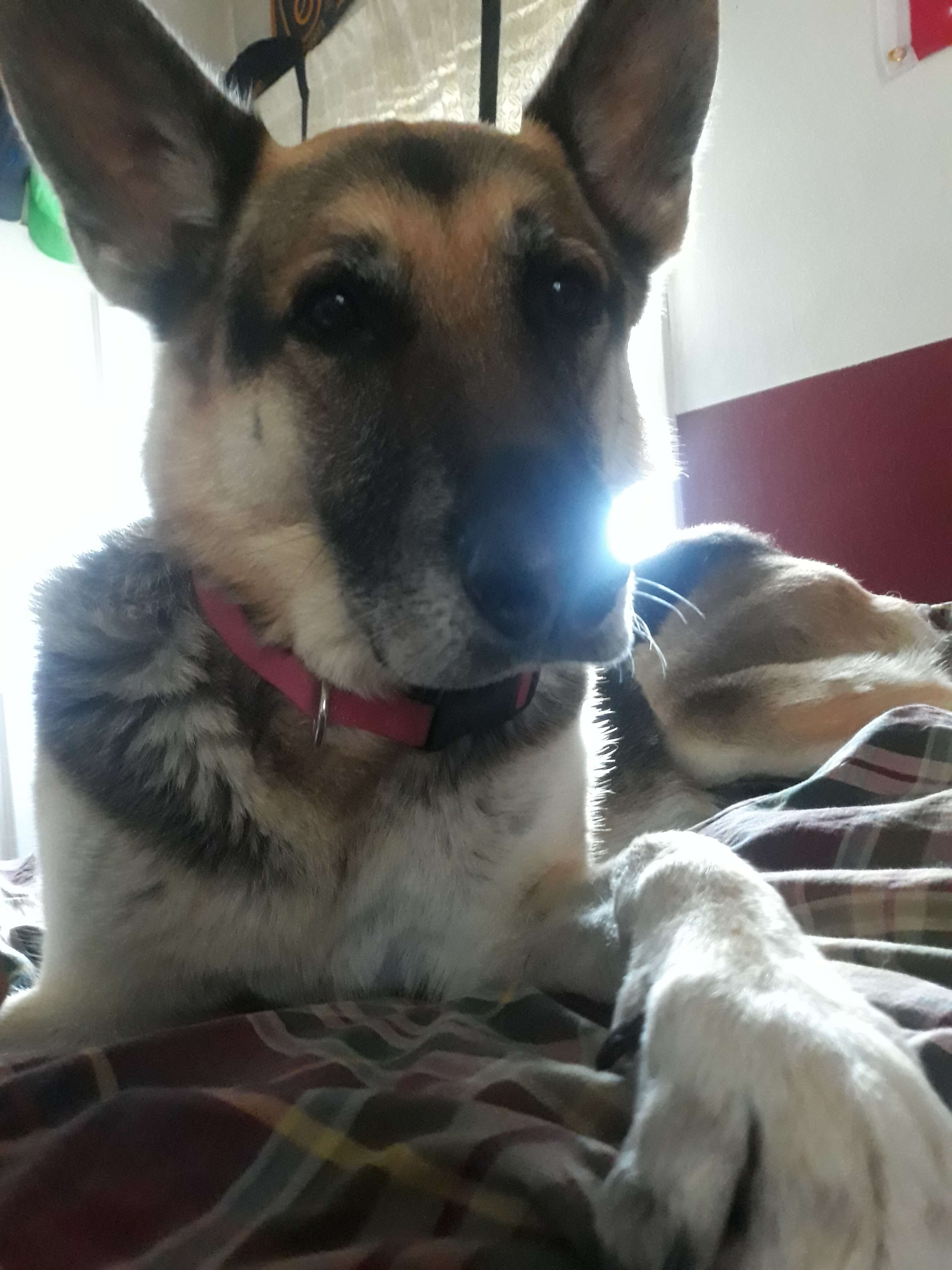 Rey sitting on the bed